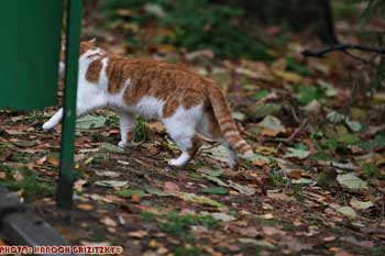 IMG_ (10311)